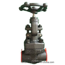 API602 geschmiedetem Kohlenstoffstahl A105 Gewinde Ende NPT Globe Valve